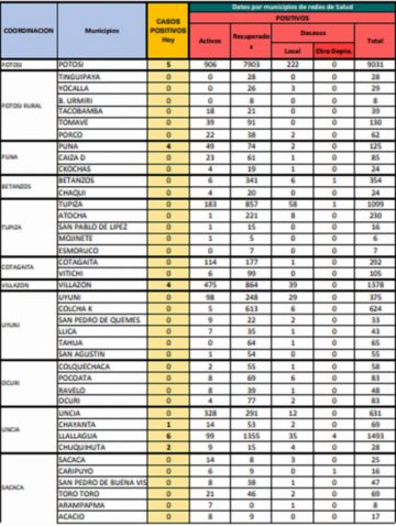 Reporte departamental del Sedes Potosí