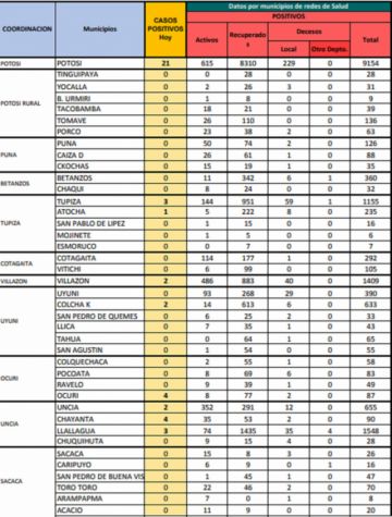 Reporte departamental del Sedes Potosí