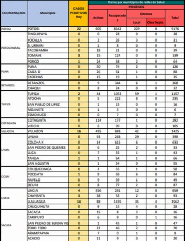 Reporte departamental del Sedes Potosí