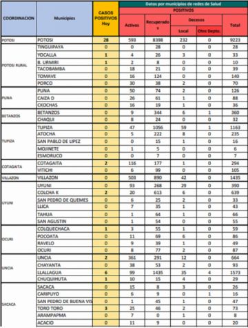 Reporte departamental del Sedes Potosí