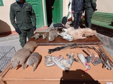 Animales rescatados por la Policía forestal.