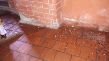Imágenes de las inspecciones que han realizado.