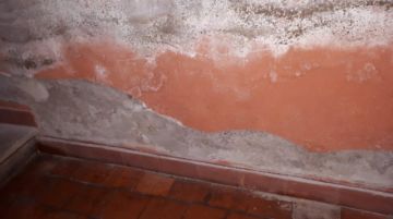 Imágenes de las inspecciones que han realizado.