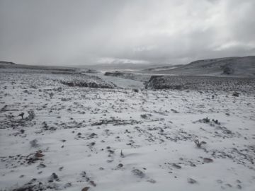 Personal de la Reserva Eduardo Abaroa envió fotografías y videos 