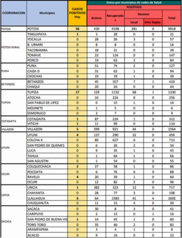 Reporte departamental del Sedes Potosí