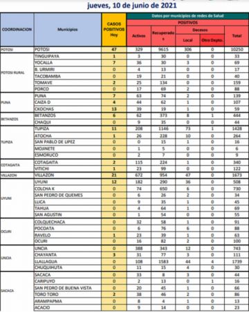 Reporte departamental del Sedes Potosí