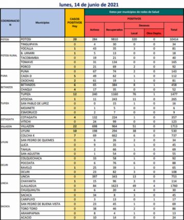 Reporte departamental del Sedes Potosí
