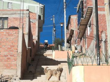 desinfectan los barrios en la jornada de restricción, aprovechando que no hay circulación vehicular  o peatonal