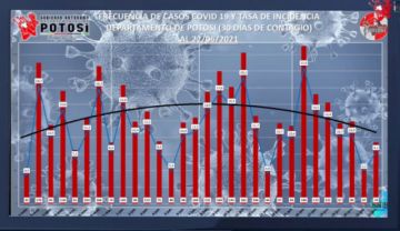 Reporte departamental del Sedes Potosí