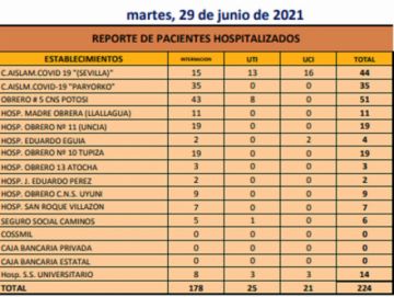 Reporte departamental del Sedes Potosí