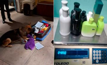Can detectó droga que se pretendía hacer pasar como perfume y desodorante