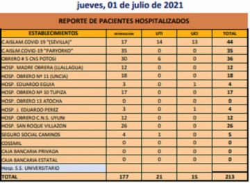 Reporte departamental del Sedes Potosí