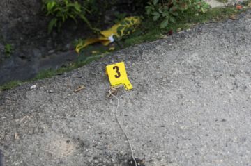 El personal forense y de la Dirección General de Policía Judicial (DGPJ) buscando evidencias.