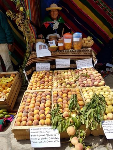 Se pide generar espacios de educación y comunicación sobre las ventajas de la producción agroecológica
