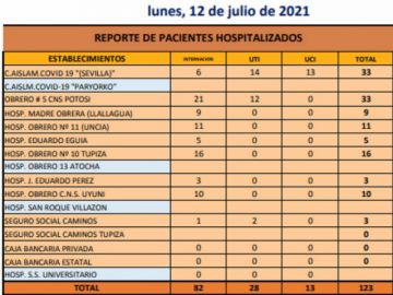 Reporte departamental del Sedes Potosí