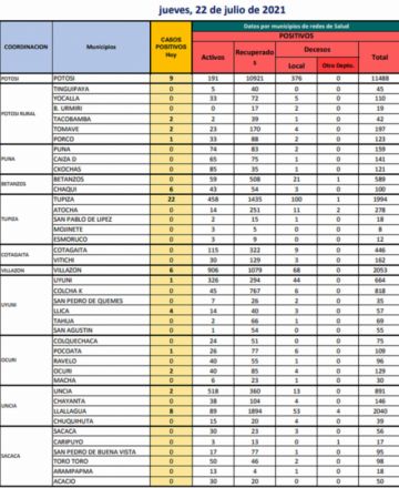 Reporte departamental del Sedes Potosí