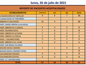 Reporte departamental del Sedes Potosí