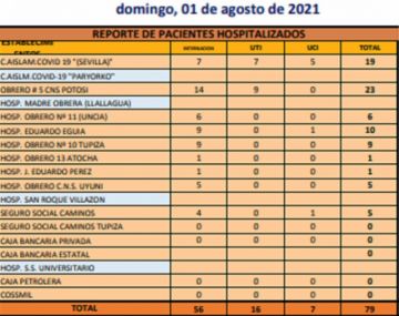 Reporte departamental del Sedes Potosí