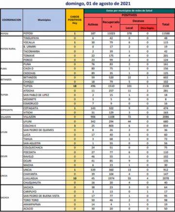 Reporte departamental del Sedes Potosí