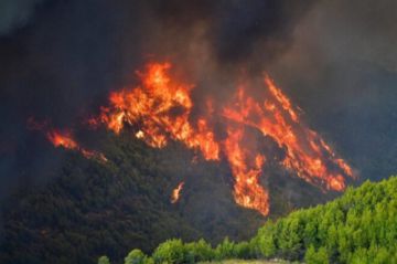 Bomberos griegos luchan contra dos incendios en Olimpia y la isla de Eubea