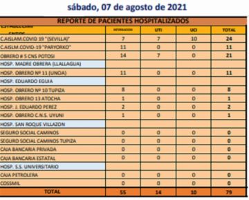 Reporte departamental del Sedes Potosí