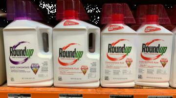 Bayer pierde otro fallo por efectos cancerígenos del glifosato