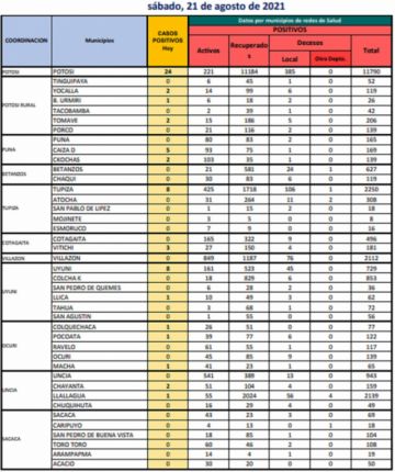 Reporte departamental del Sedes Potosí