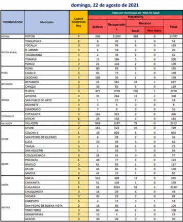 Reporte departamental del Sedes Potosí