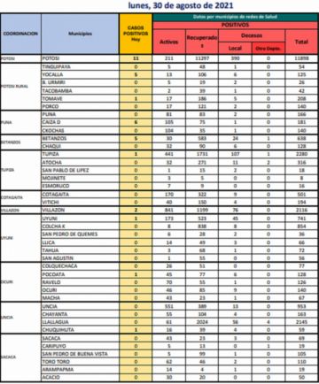 Reporte departamental del Sedes Potosí