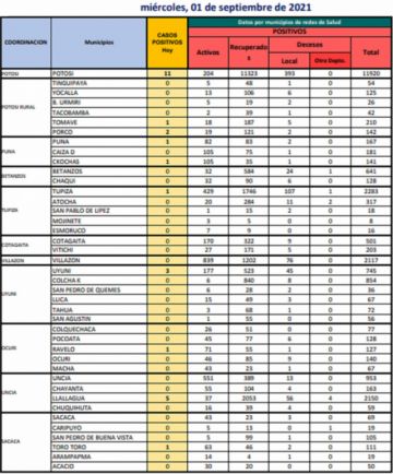Reporte departamental del Sedes Potosí