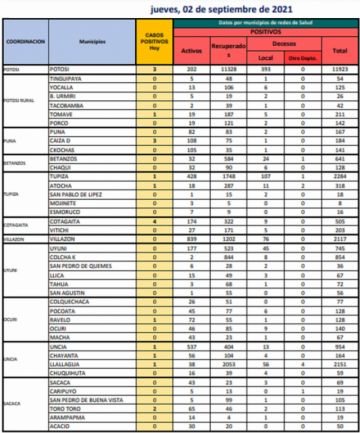 Reporte departamental del Sedes Potosí