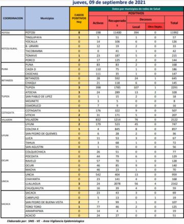 Reporte departamental del Sedes Potosí
