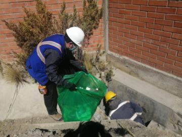 Se espera que más voluntarios puedan apoyar con similares tareas.