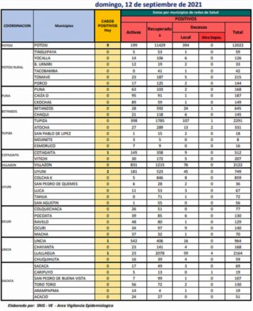 Reporte departamental del Sedes Potosí