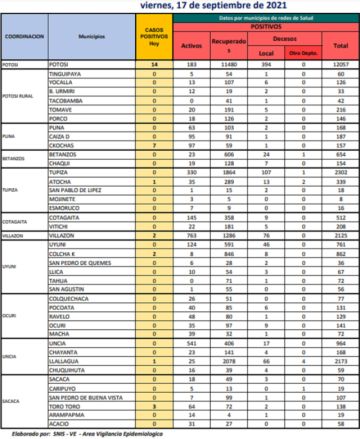 Reporte departamental del Sedes Potosí
