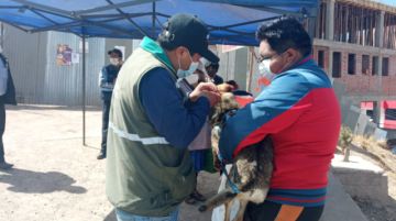 La vacunación se desarrolló en diferentes zonas. FOTOS: VÍCTOR HINOJOSA - FACULTAD DE MEDICINA UATF