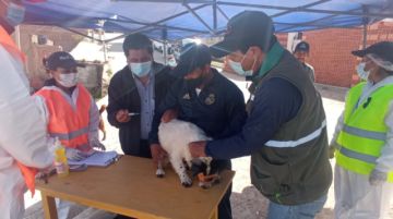 La vacunación se desarrolló en diferentes zonas. FOTOS: VÍCTOR HINOJOSA - FACULTAD DE MEDICINA UATF