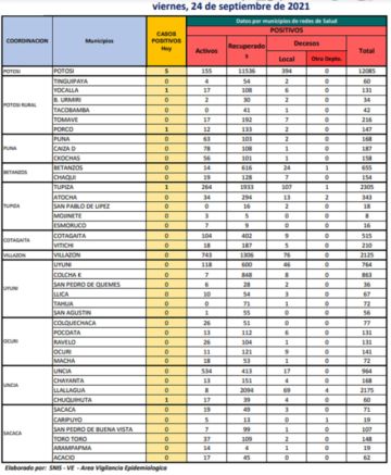 Reporte departamental del Sedes Potosí