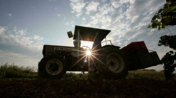 La economía española acelera su crecimiento sin alcanzar las expectativas