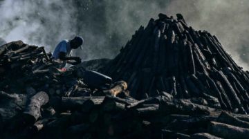 Proteger el planeta o salvar el empleo, el dilema de los carboneros en Panamá