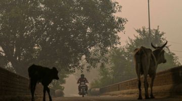 Nueva Delhi está bajo una densa neblina tóxica tras la fiesta de Diwali