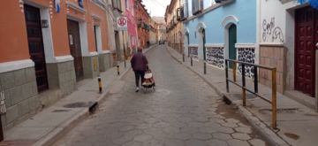 Acuden a los mercados de la ciudad de Potosí.