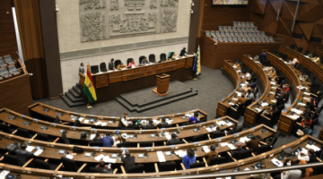 El MAS en Diputados aprueba proyecto de ley del PGE 2022, pese a observaciones de opositores