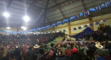 Capturas de pantalla de los videos.