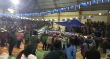 Capturas de pantalla de los videos.
