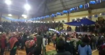 Capturas de pantalla de los videos.