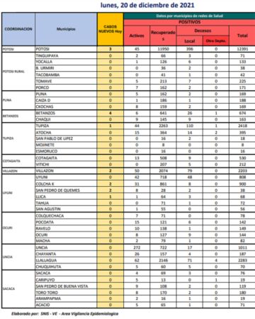 Reporte departamental del Sedes Potosí