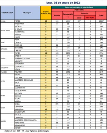 Reporte departamental del Sedes Potosí