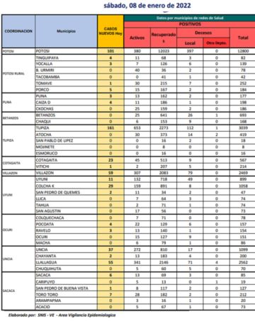 Reporte departamental del Sedes Potosí