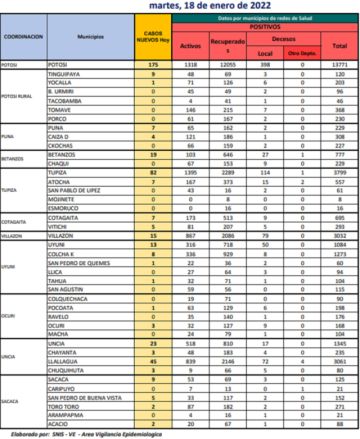 Reporte departamental del Sedes Potosí